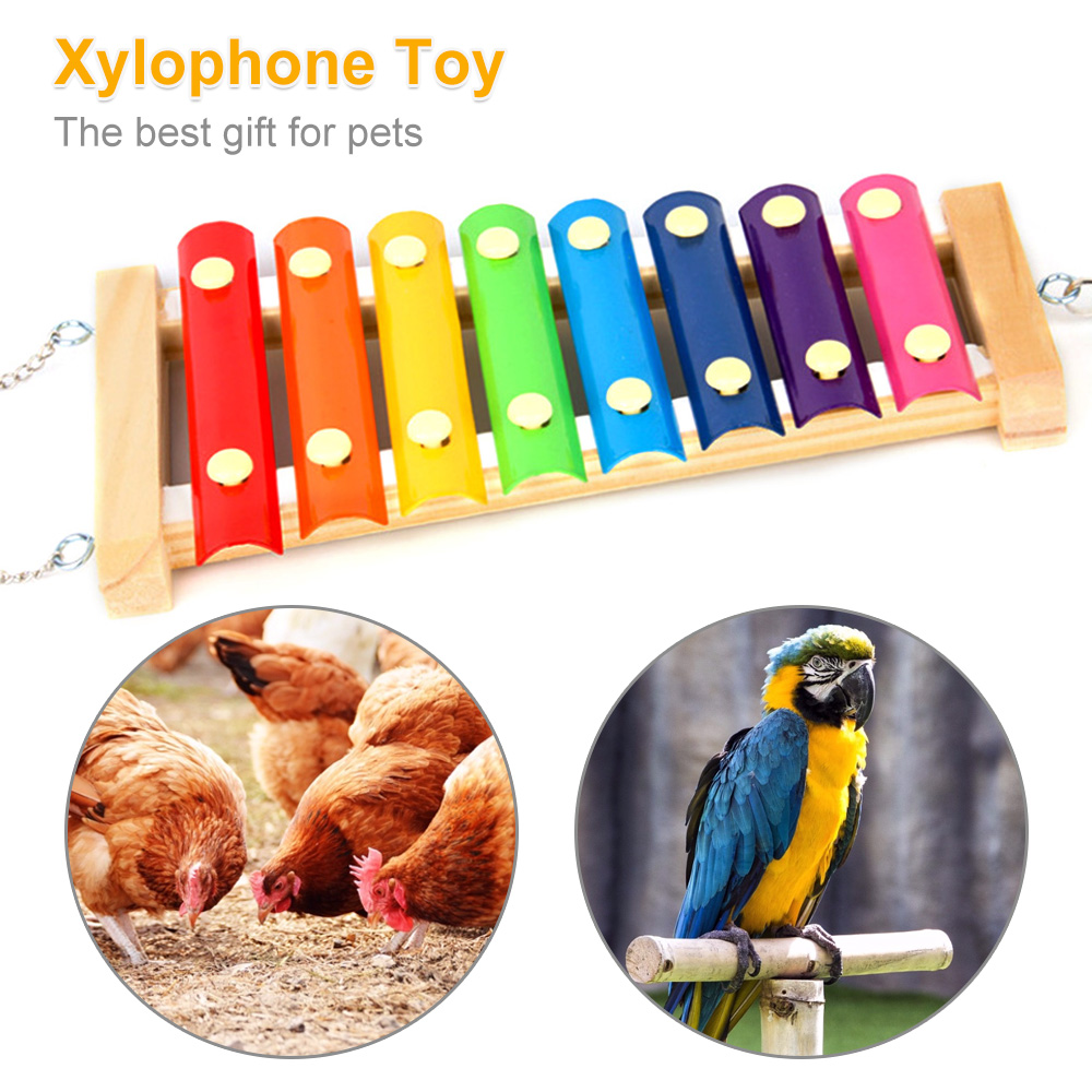 Bird Chicken Xylophone Toy Woo - огляд і ціна Musical Instrument Harmonium