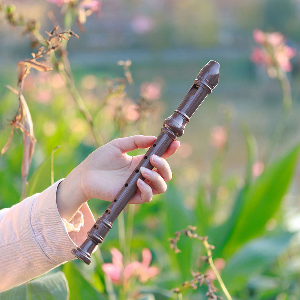 8 Hole Soprano Recorder Plasti - огляд і ціна Soprano Recorder Plastic